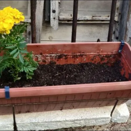 Gemuetliche Im Erdgeschoss By Interhome Lägenhet Diklo
